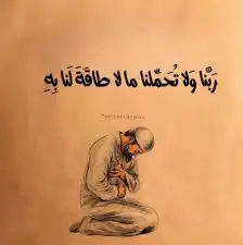 مطلوب سياره 0