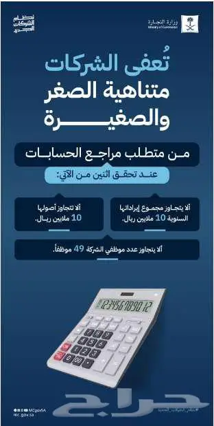 مستشار مالي وضريبي 0