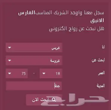 تصميم مواقع انترنت احترافيه 1