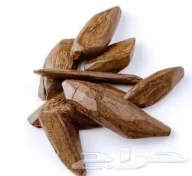 عود تايقر ومروكي ولاوسي ومباخر ع الشرط 3