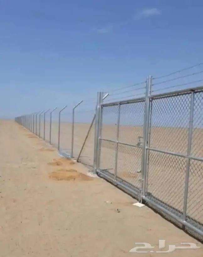 نخيل للبيع عربي مثمره وواشنطن وتركيب الشبوك 28