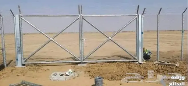 نخيل للبيع عربي مثمره وواشنطن وتركيب الشبوك 26