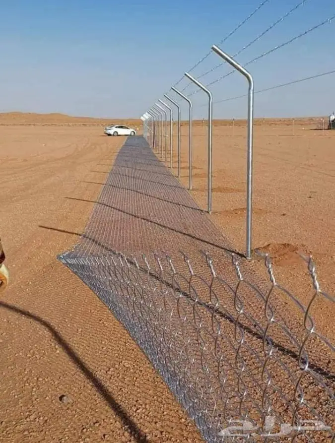 نخيل للبيع عربي مثمره وواشنطن وتركيب الشبوك 31