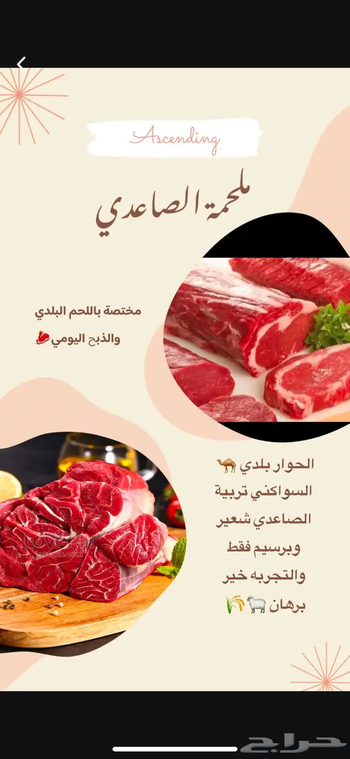 ملحمة الصاعدي 1