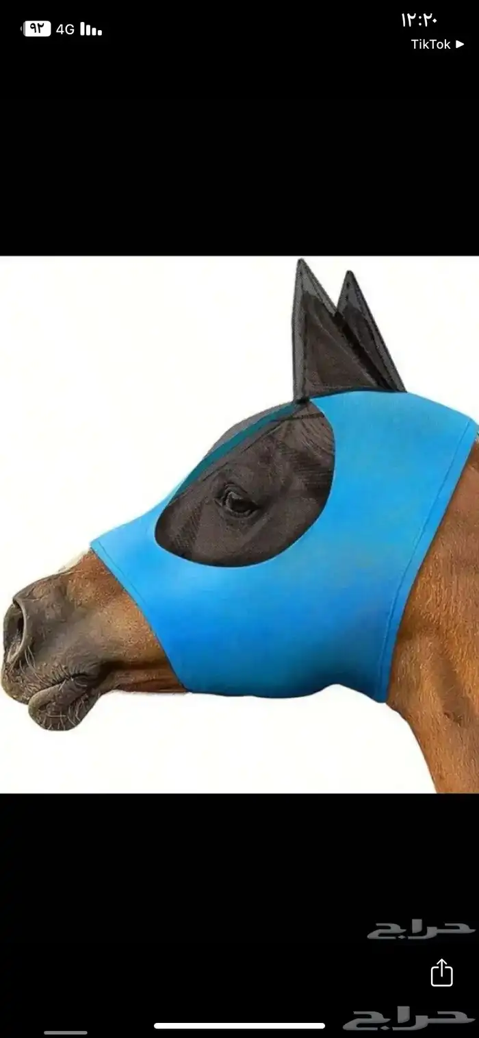 براقع خيل 0