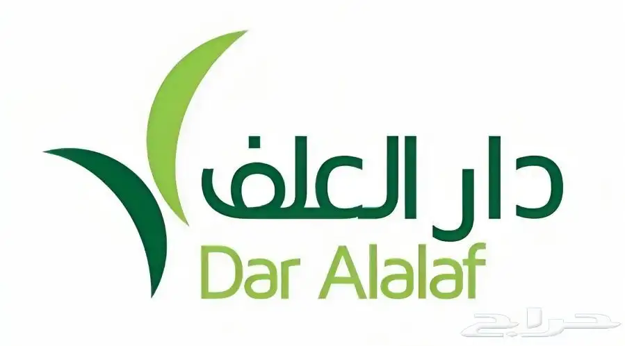 ذرة صفراء   حب انتاج تبوك 0