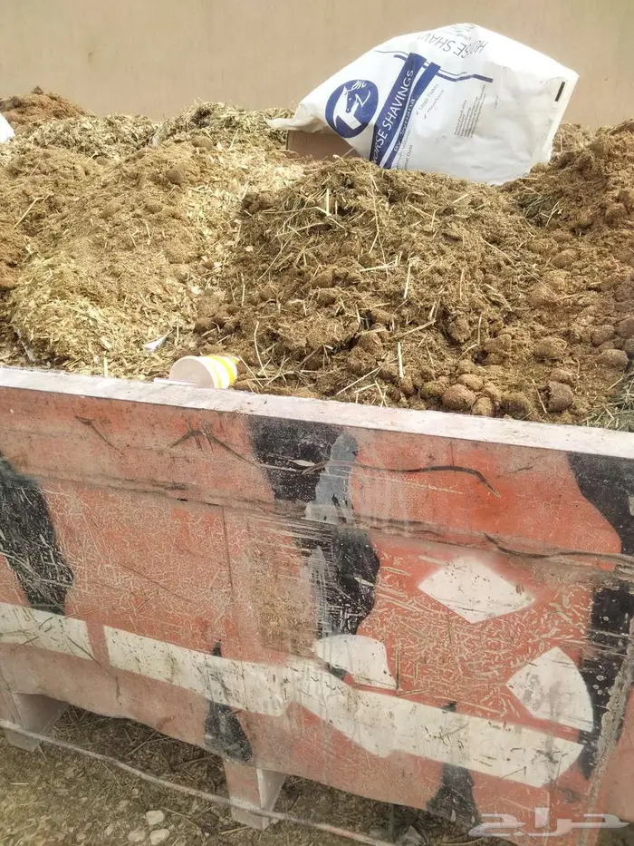 الرياض وادى حنيفة 1
