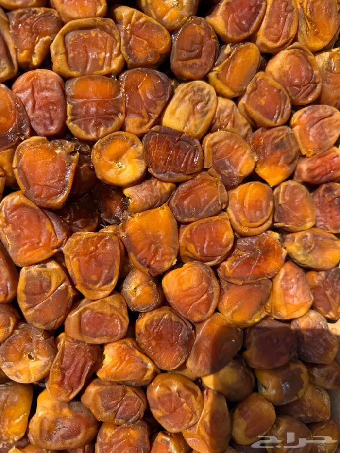 رطب سكري 0
