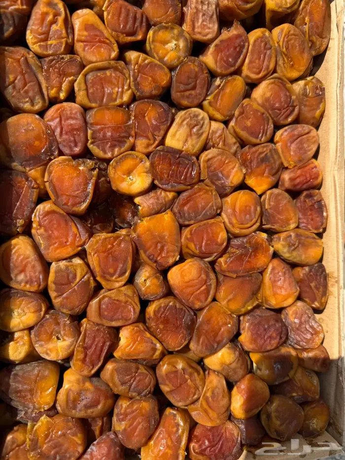 رطب سكري 1