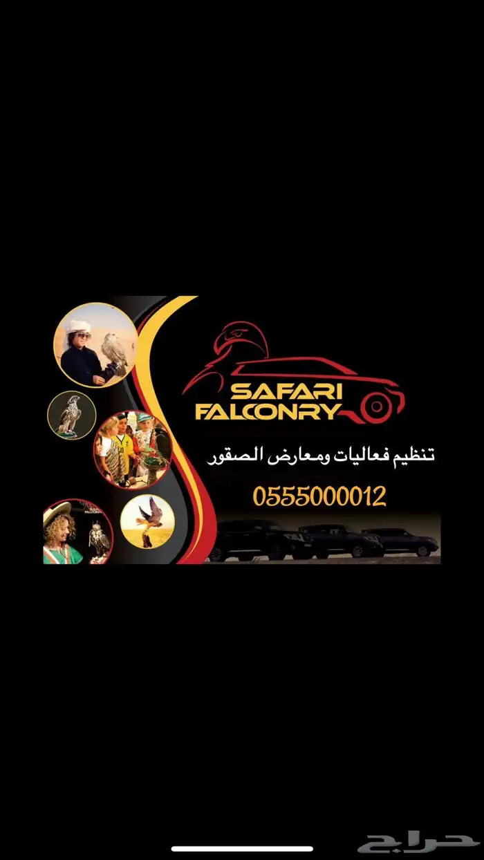 تنظيم فعاليات ومعارض الصقور 0