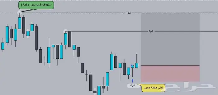 مؤشرات واستراتيجيات مبرمجة بالذكاء الاصطناعي 12