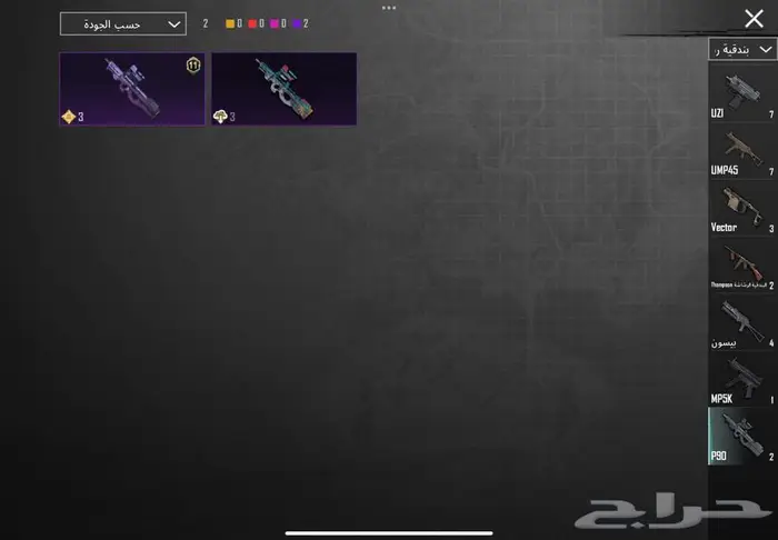 ببجي 30