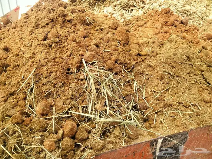الرياض وادى حنيفة 0