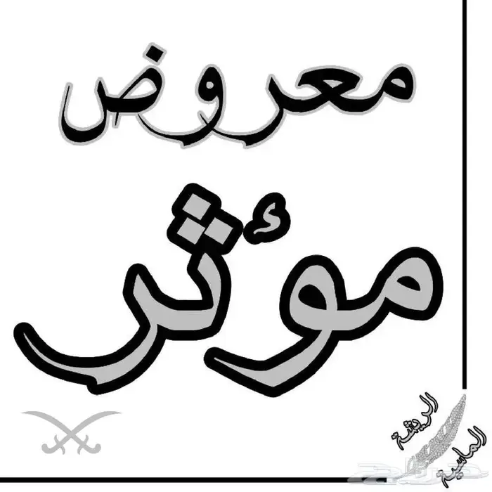 كتابة خطابات وشكاوى ومعاريض 0