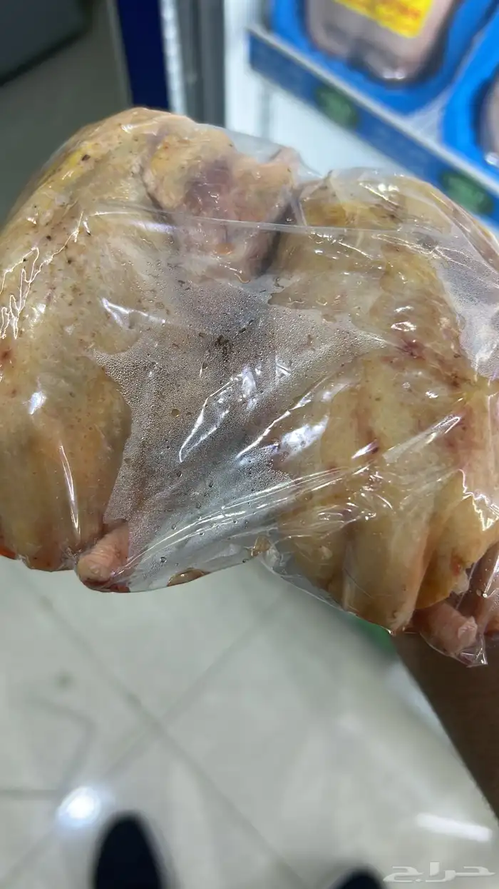 فروخ حمام وبط وسمان 1