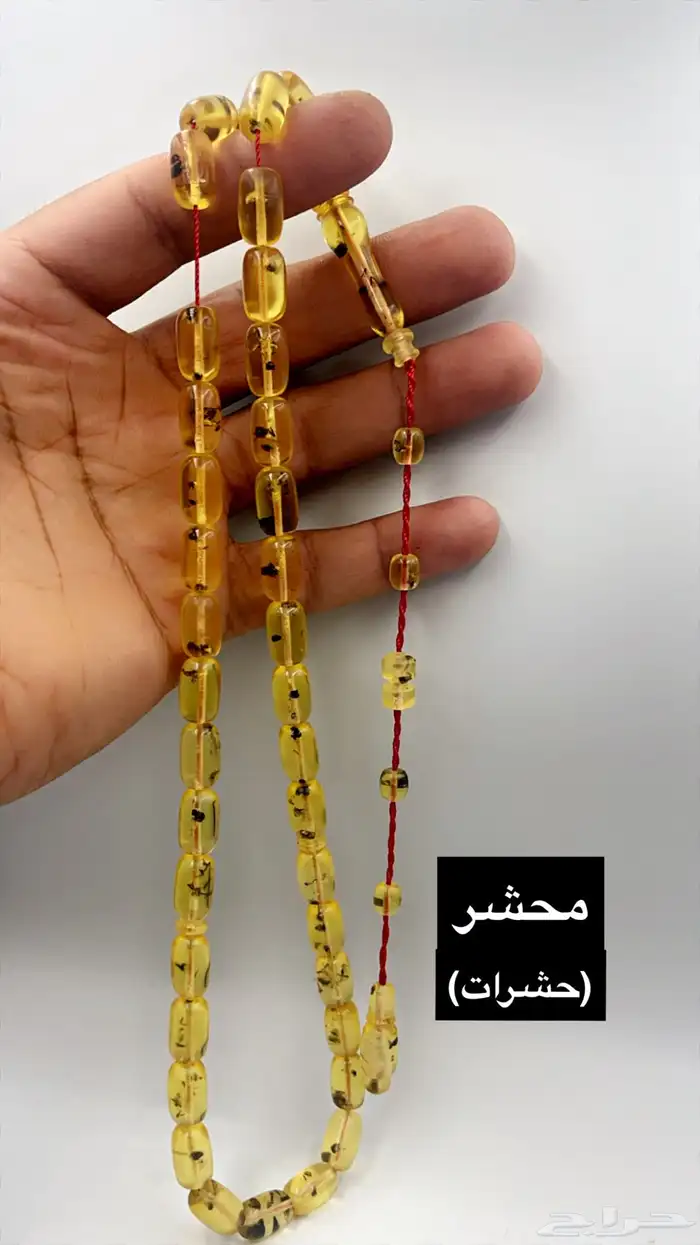 سبح 18