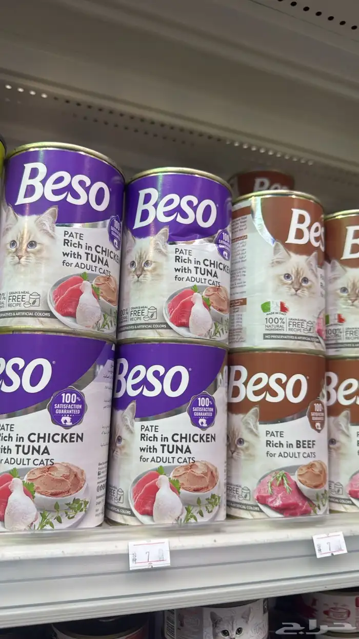 متجر Modi Birds مودي للحيوانات الاليفة 2