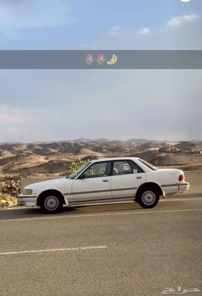 كرسيده 96 12