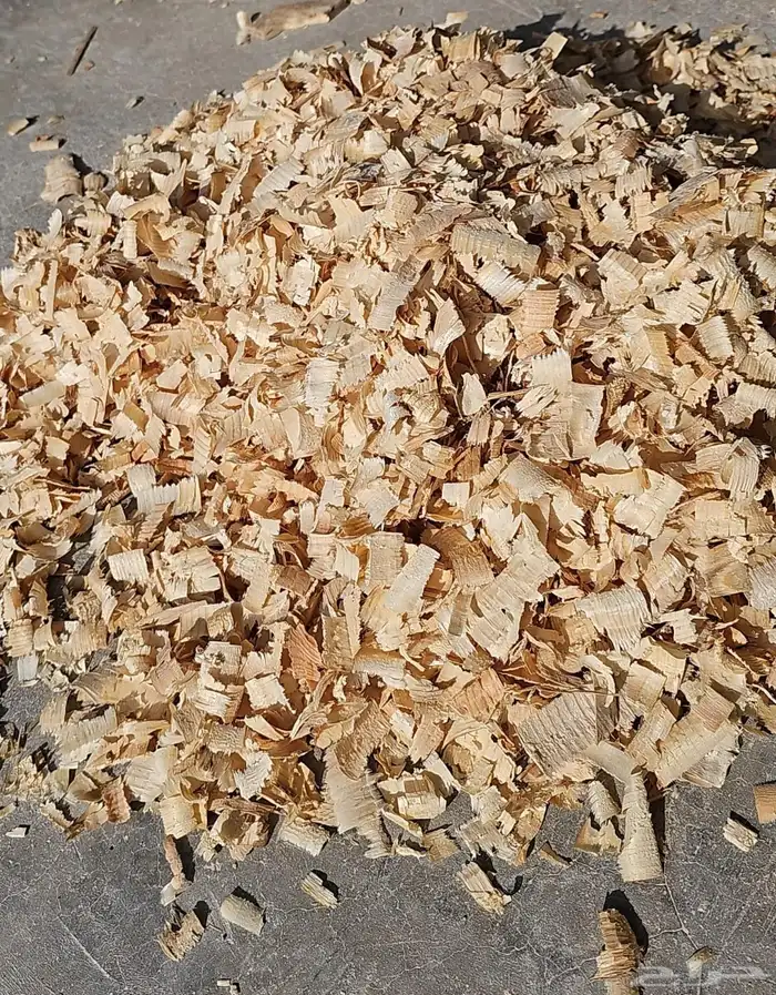 نشارة خشب للخيول 0
