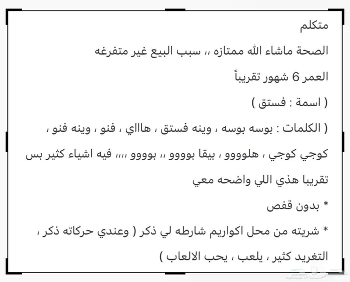 ببغاء دره هندي 1