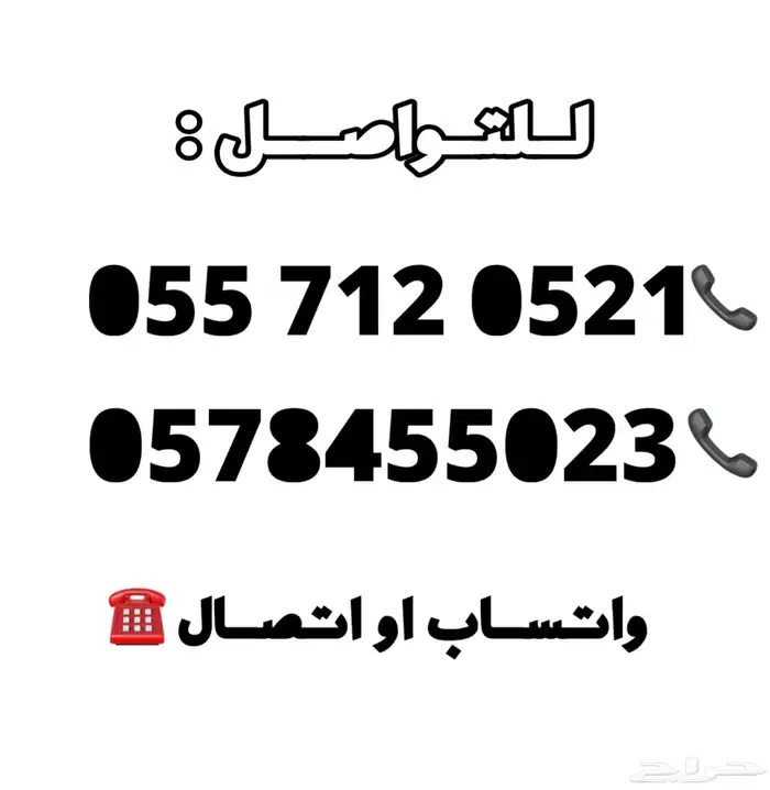 للبيع ببغاء روز ذكر 6