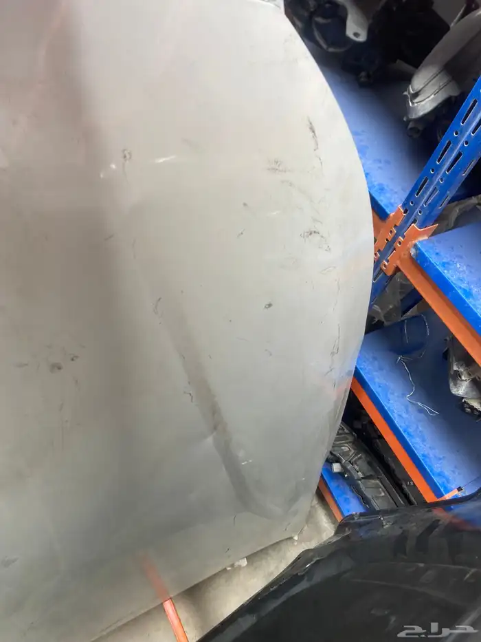 كبوت كادينزا 2017-2018-2019-2020 3