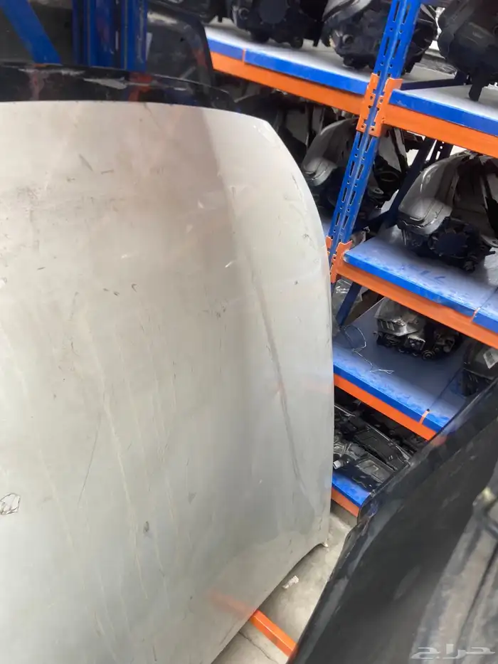 كبوت كادينزا 2017-2018-2019-2020 2