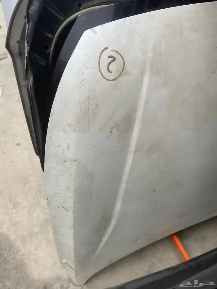 كبوت كادينزا 2017-2018-2019-2020 0