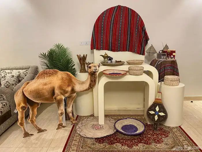 استقبال يوم التاسيس طاولات وستاند 0