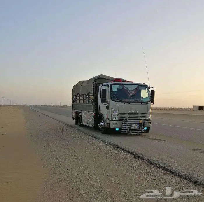 دينا شبك دينه نقل دنه مشاوير شحن ديانا 0