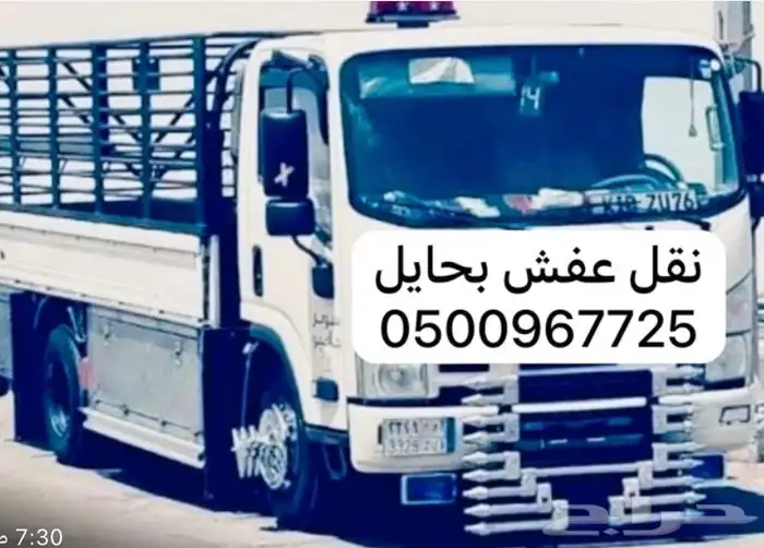 دينا لنقل 0