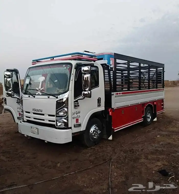 دينا نقل عفش داخل الرياض 0