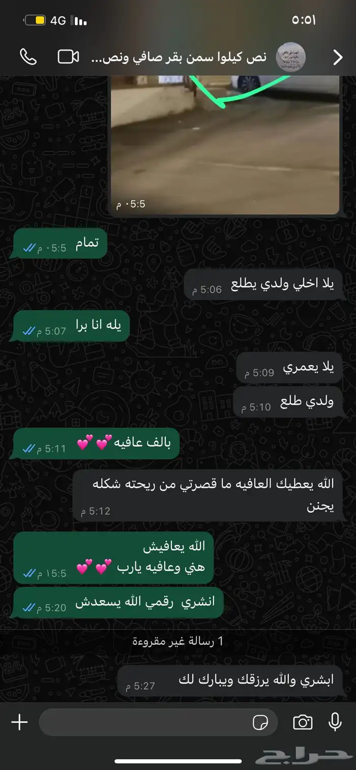 سمن بقر وغنم بلدي 10