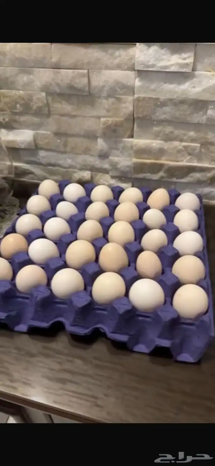 بيض بلدي طازج 1