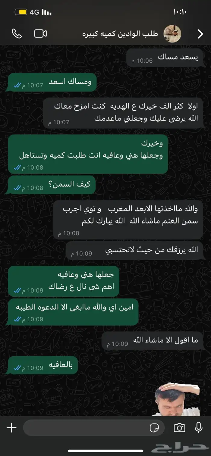 سمن بقر وغنم بلدي 8