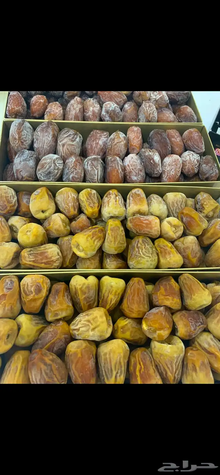 تمور مناسبه للإهداء والمناسبات 6