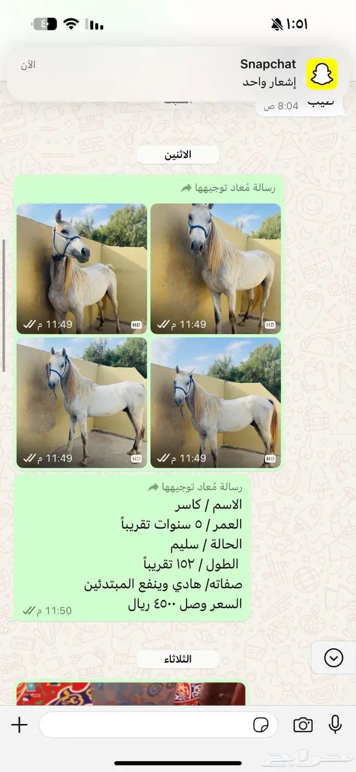 خيل 0