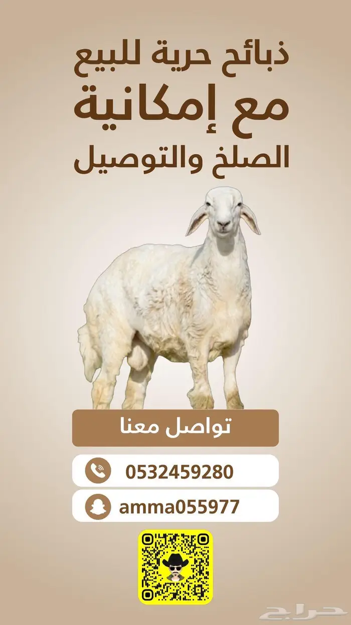 ذبايح حريه تربيه مع امكانية الذيح والتوصيل 0