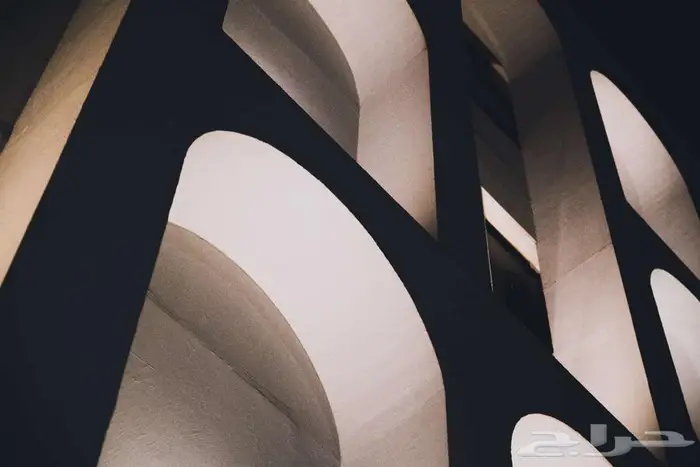 مصور محترف 1