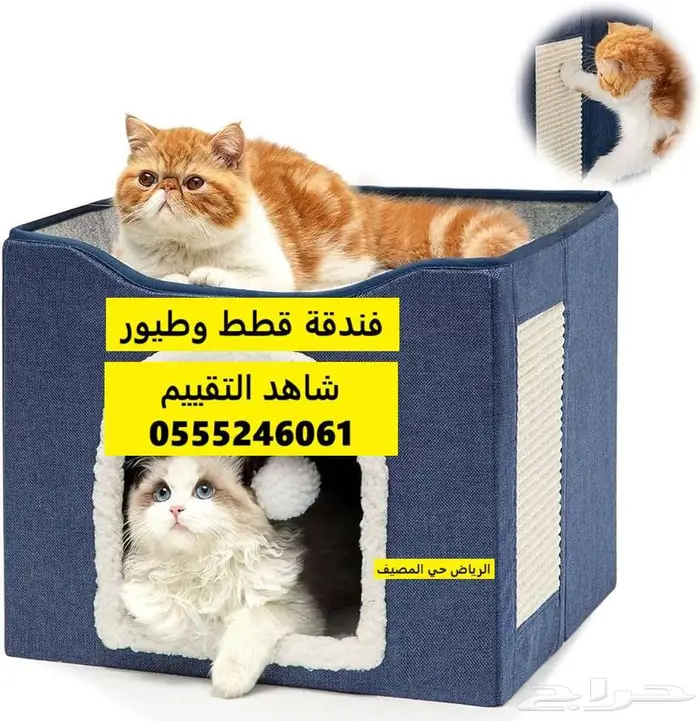 فندقة قطط 6061 24 0555 شاهد التقييمات 0