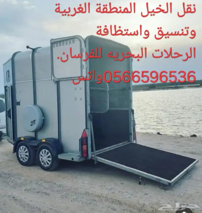 نقل خيل من جده الى جميع مناطق المملكه 0