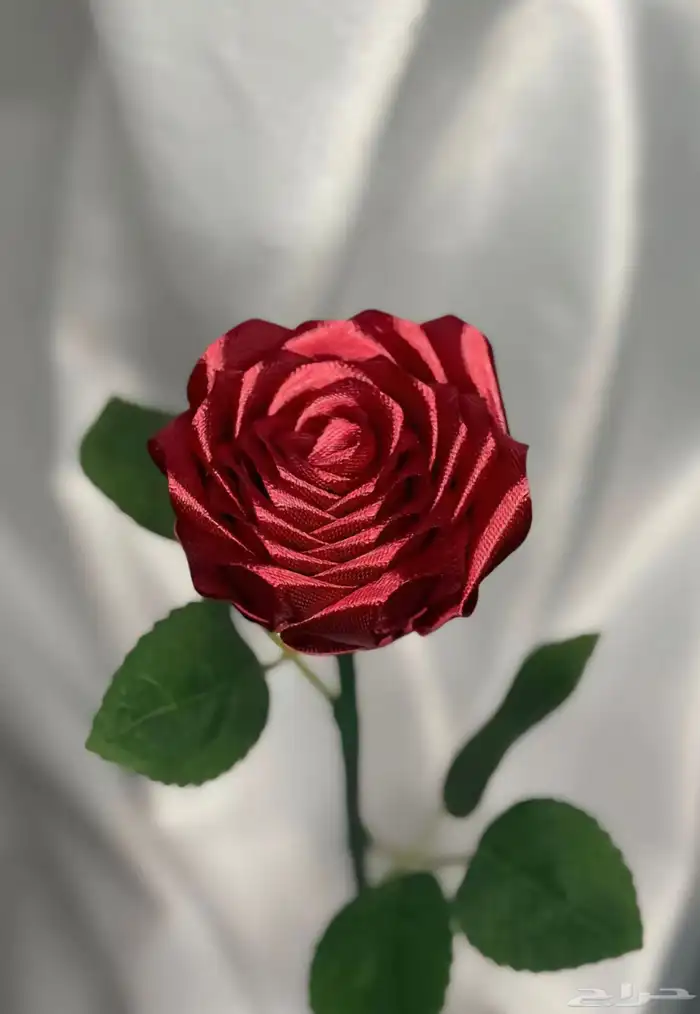 بوكيه ورد ابدي 0