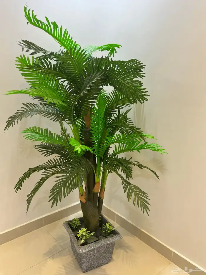 اثاث 0