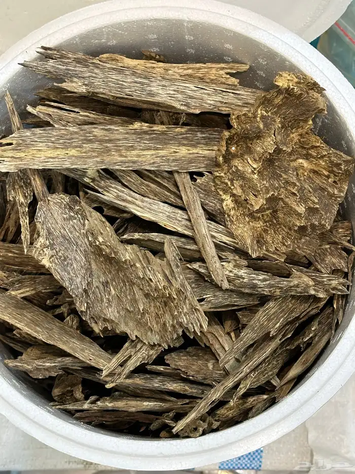 عود الكلمنتان الطبيعي دبل سوبر 2