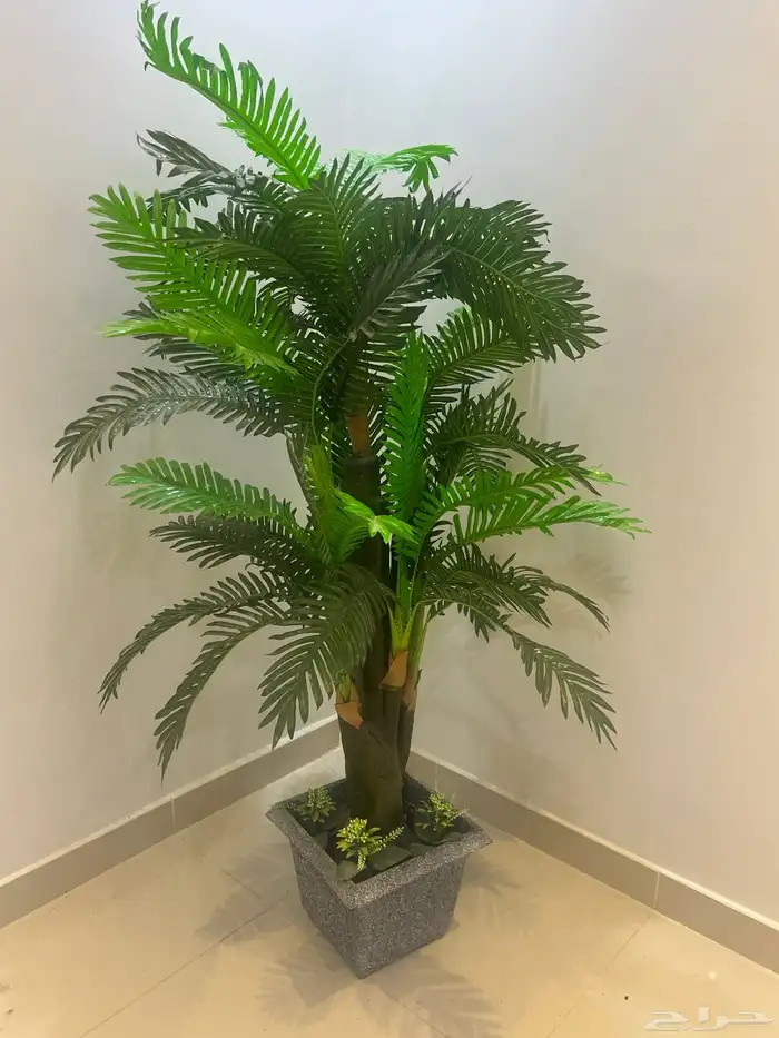 اثاث 2