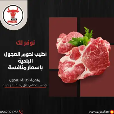 ملحمة اصالة العجول في تبوك 14
