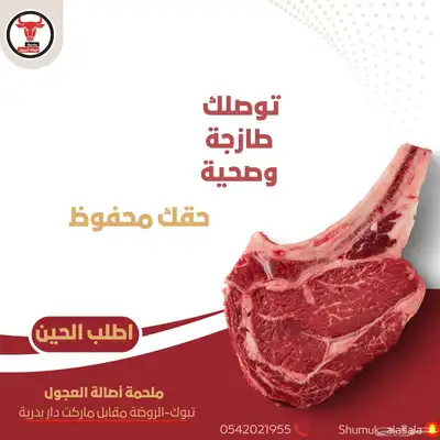 ملحمة اصالة العجول في تبوك 22