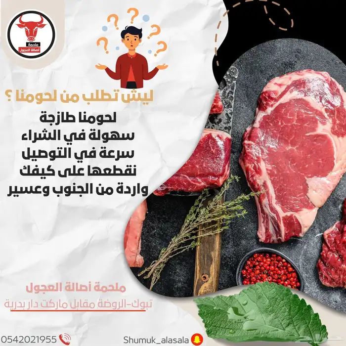 ملحمة اصالة العجول في تبوك 19