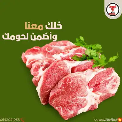 ملحمة اصالة العجول في تبوك 15