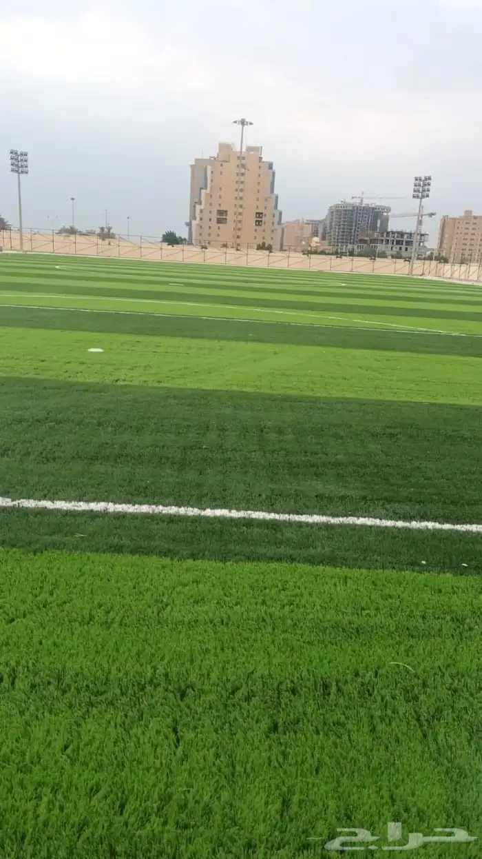 تنس ارضي و مضمار 14